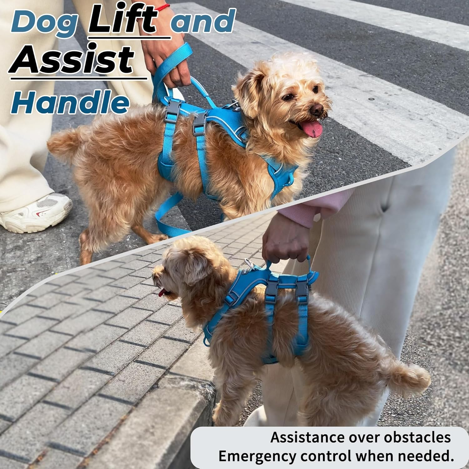 Escape Proof Dog Harness and Leash Set, Lightweight Dog Harness with Lift and Assist Handle, No Pull Reflective Pet Vest for Small Medium Dogs, Ideal for Puppy Walking and Training (Blue, XS) image number 5