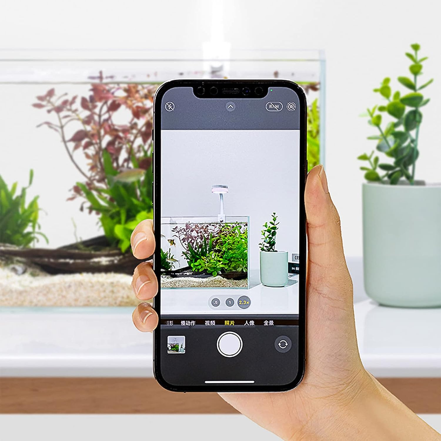 Bigtron Full Spectrum Aquarium Light, Small Clip Light for Fish Tank - Blue-Red image number 6