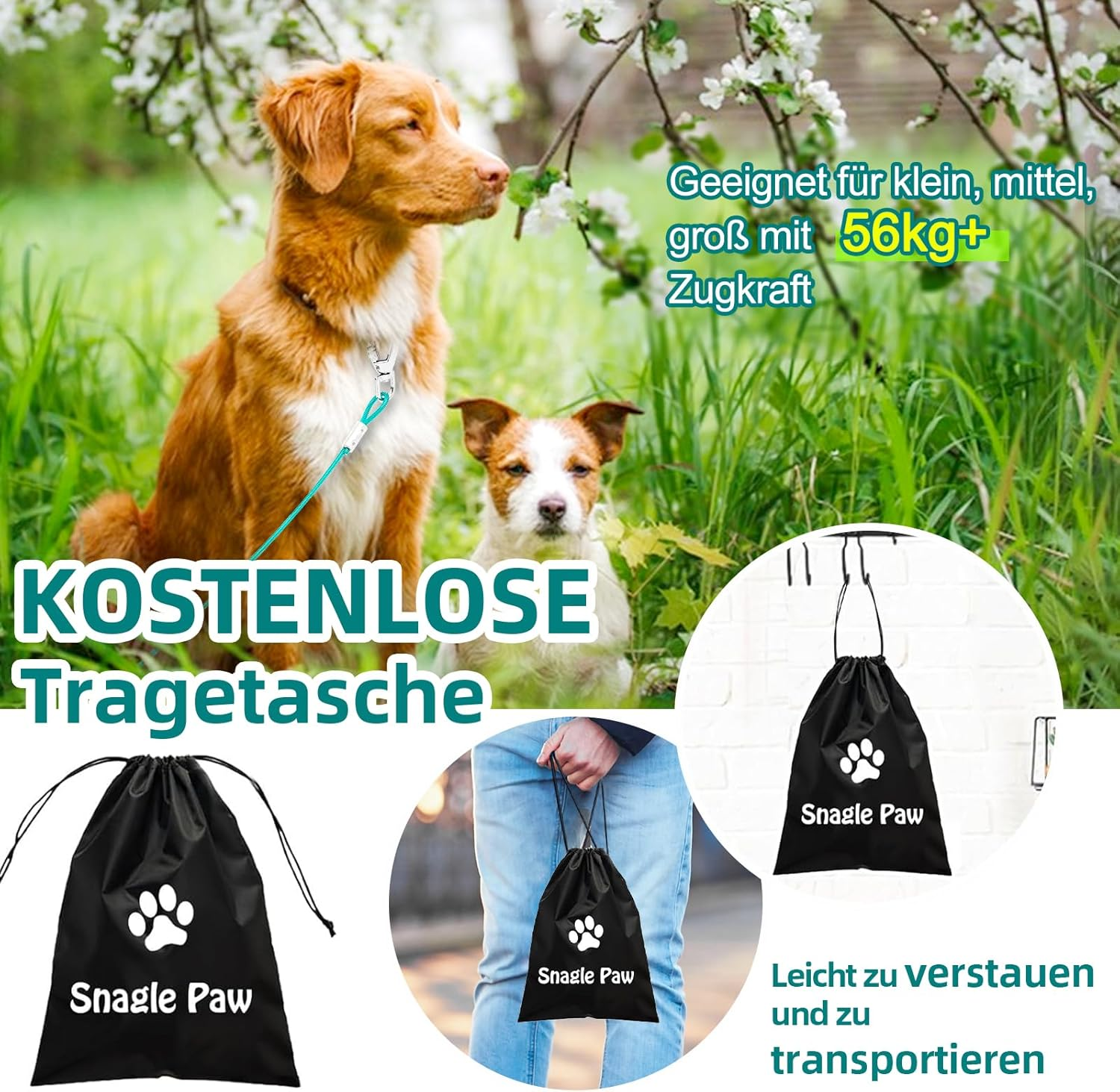 Yard Lead for Dogs, 6 M Yard Lead Tie Out Leads, Tie Out Cables for Dogs with Screw Cap, Yard Lead Tie Out Lead with Shock Absorbing Spring up to 125 Lbs, Pet Lead Bite Resistant for Camping image number 3