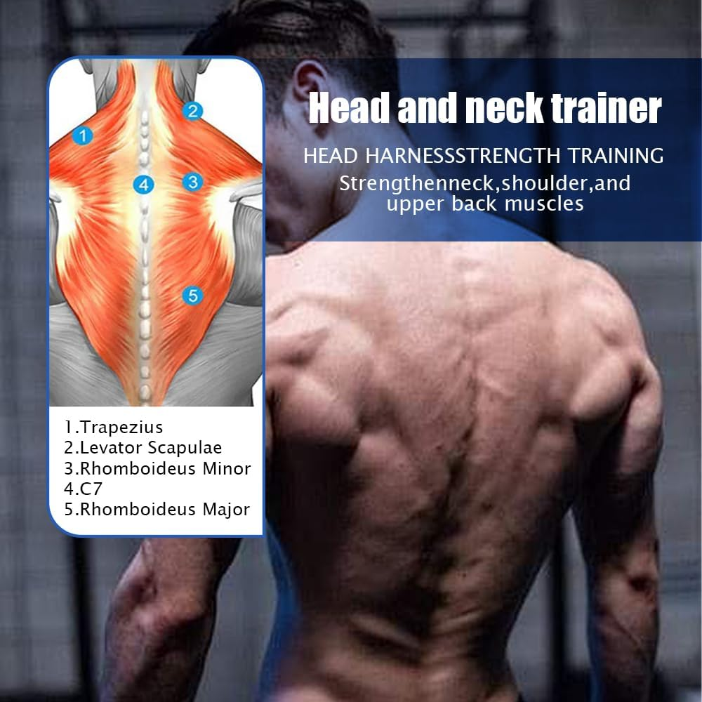 Neck Head Harness,Weight Lifting Training,Head Strap,Support Neck Strengthener,Neck Workout,Weight Lifting Head Harness,For Weight Lifting,Gym,Fitness Training