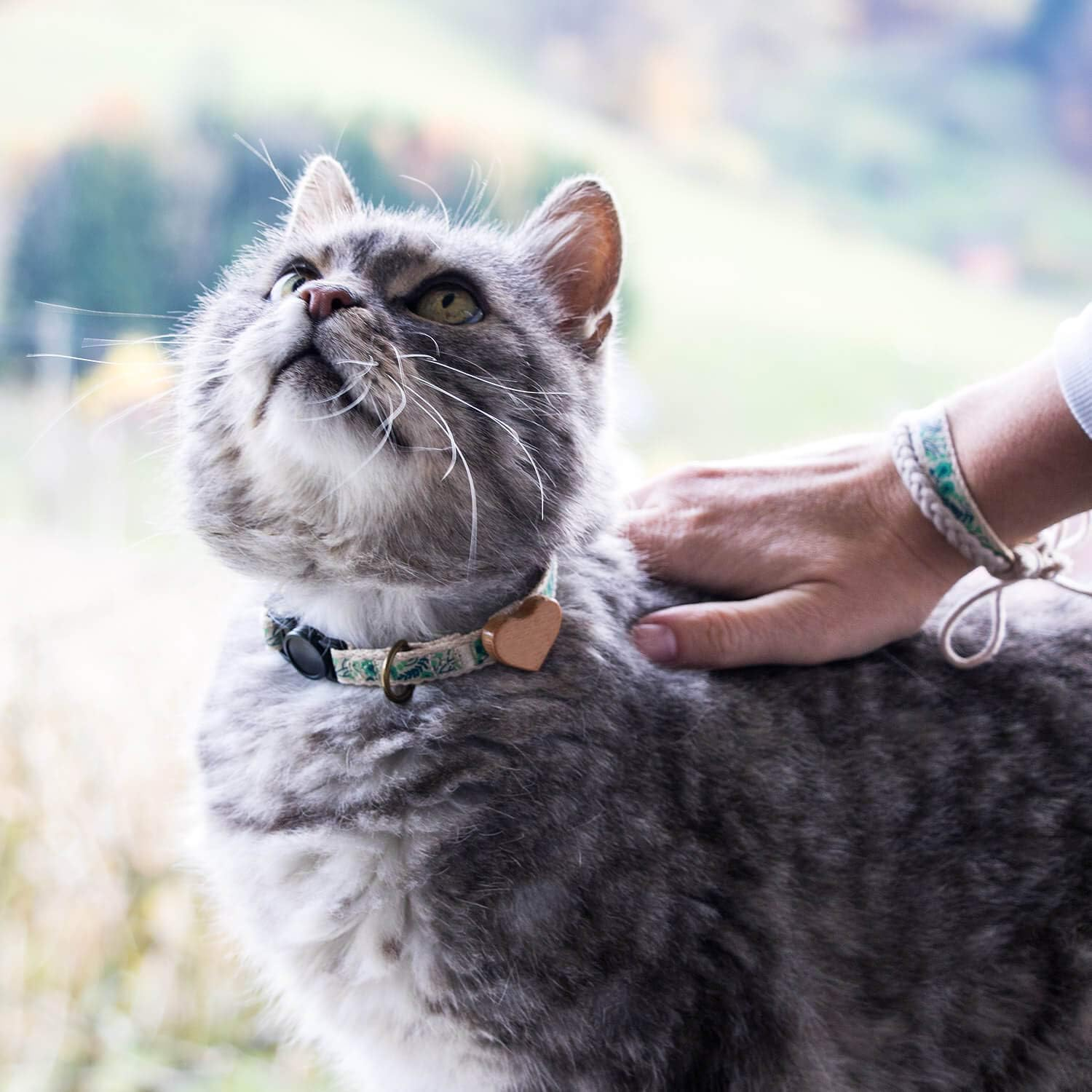 Pettsie Cat Collar Breakaway Safety with Heart and Friendship Bracelet for You, Natural and Soft 100% Cotton for Extra Comfort, Strong and Durable, Easy Adjustable Size 8-11 Inch (Green) - Green image number 5