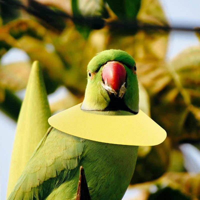 Prevent Plume Plucking Bird Collars, 1Pc Parrot Neck Collar Bird Anti-Bite Collar,Microfiber Leather Bird Neck Protective Cone,Parrot Collars Protective Neck Ring Bird Collar,Yellow