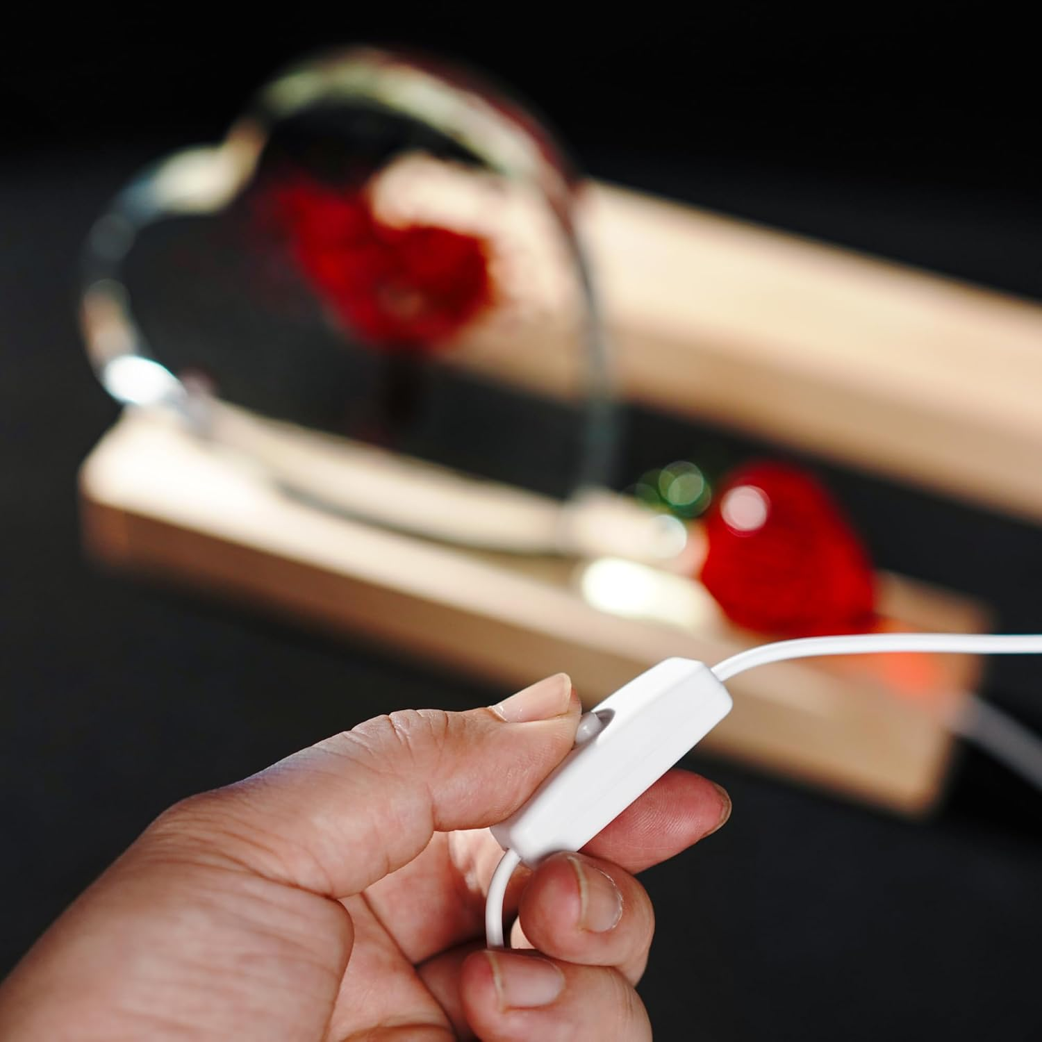 ZEERSHEE 2 Pcs 9.4 Inch Wooden Rectangle LED Light Display Pedestal for Acrylic and Plexiglass Crystal Glass Resin Night LED Light Lamp Base with USB Switch(Warm Light) image number 1