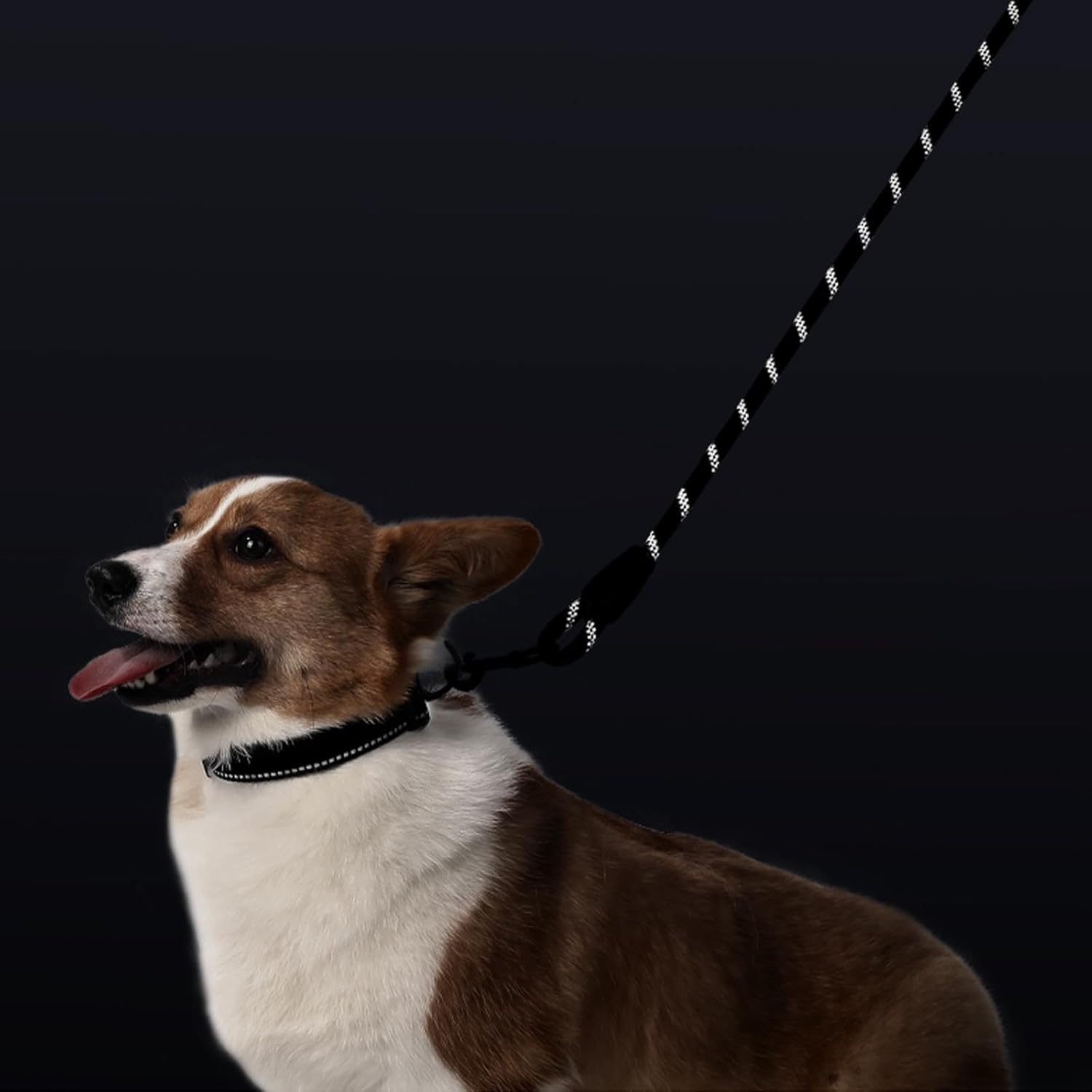 BGENHPON Durable Strong Chew Resistant Dog Lead Slip Lead Nylon Rope with Padded Handle for Walking Training Pet Puppy Mountain Climbing Harness Slipknot Leash 1.2Cm Thick Black 5Ft image number 2