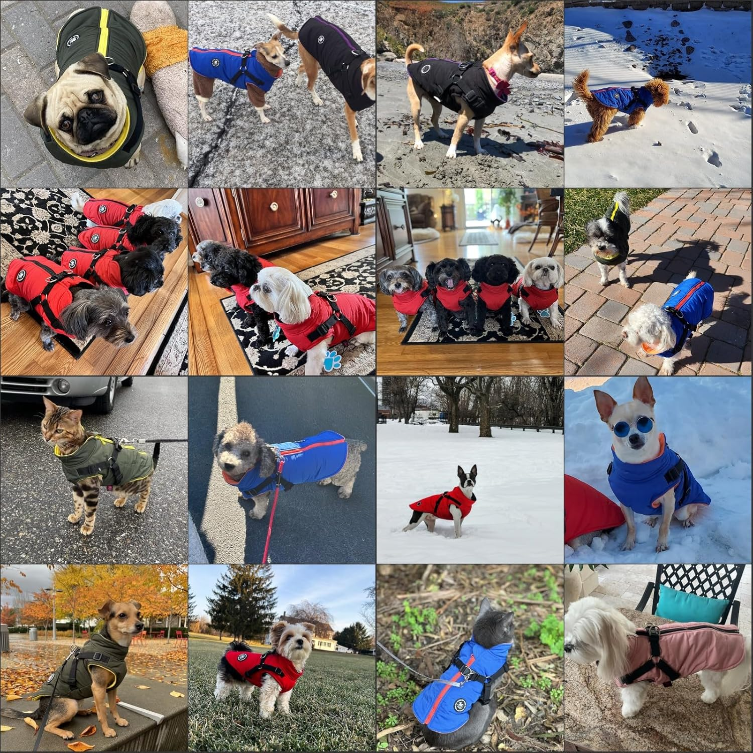 Norbi Dog Winter Coat with Harness Built In, Waterproof Windproof Jacket, Warm Puffer Vest for Small Medium Large Dogs, All Weather Cold Weather Gear for Walking(Black, M) image number 3