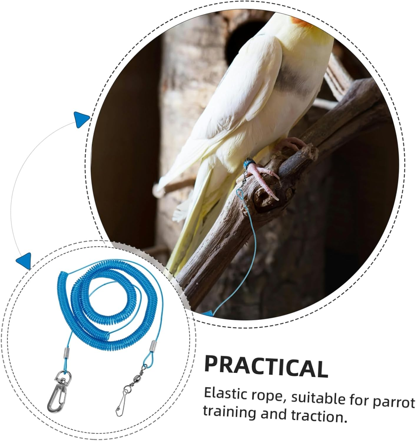 COMPUKAS 2Pcs Elastic Bird Parrot Training Leash with Foot Rings Outdoor PET Bird Harness for Flying and Training Sturdy Spring Steel Rope for Parrots
