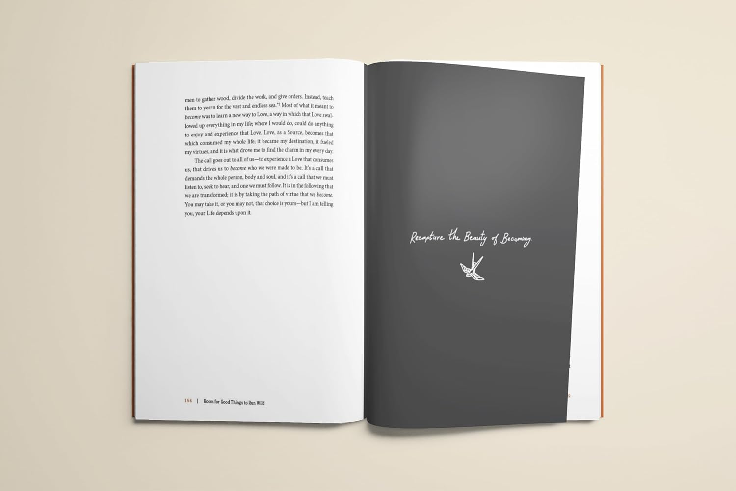 Room for Good Things to Run Wild: How Ordinary People Become Every Day Saints image number 1