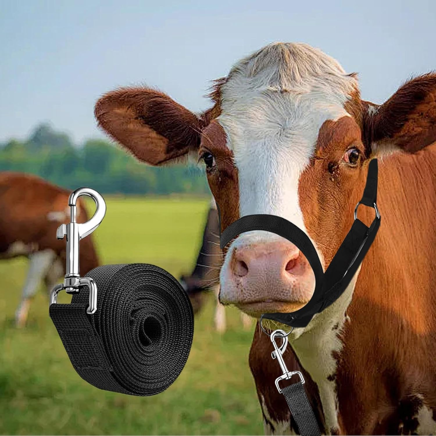 Cow Halter for Cattle, Calf Halter and Lead Rope, Show Livestock Heavy-Duty Nylon Adjustable for Ranch Farm Lawn Yard Grassland Goat Horse Foal Lamb