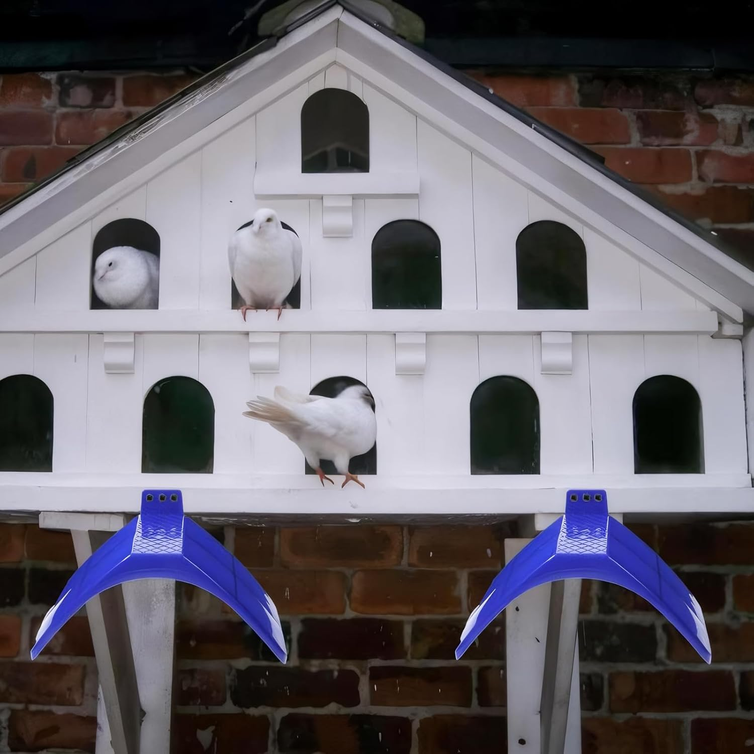 Set of 4 Pigeon Trays, Plastic Bird Pigeon Stands, Dove Seating Board, Seat Board for Pigeons, Parrots and Other Birds, Roost Bird Supplies Accessories, 20 X 10 X 12 Cm, Blue image number 3