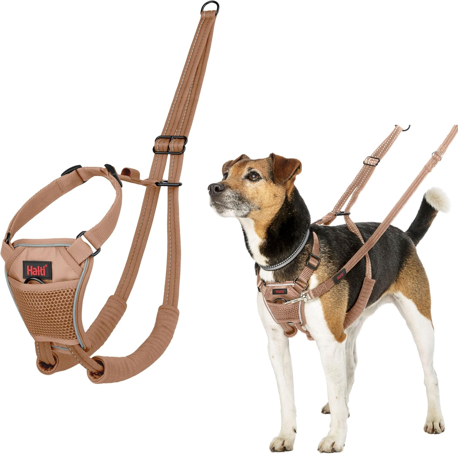 HALTI No Pull Anti-Pull Harness - Prevents Your Dog from Pulling on the Lead, Padded Chest and Leg Strap, Reflective Strap Material, Easy Adjustment and Use (Size M, Walnut Brown) image number 6