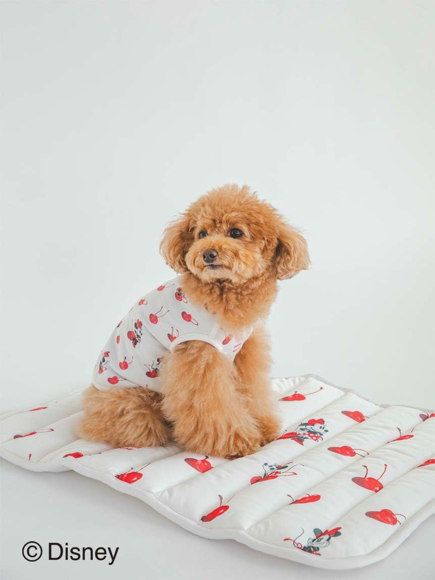 [Gelato Pique Cat & Dog] Disney Cat&Dog Minnie Mat PAGG242594 OWHT F, OWHT, F image number 3