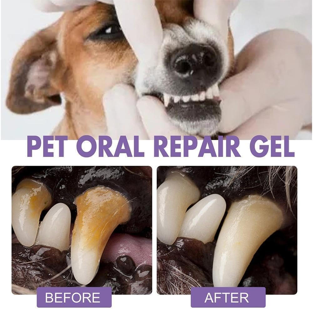 3PC Pet Oral Repair Gel Teeth Brushing Cleaner Gel Natural Dog Toothpaste Gel Eliminate Bad & Pet Freshener Breath Cats for Dogs Pets Breath Tooth for Freshener Pets Dogs Cleaner Oral Gel Clea image number 3
