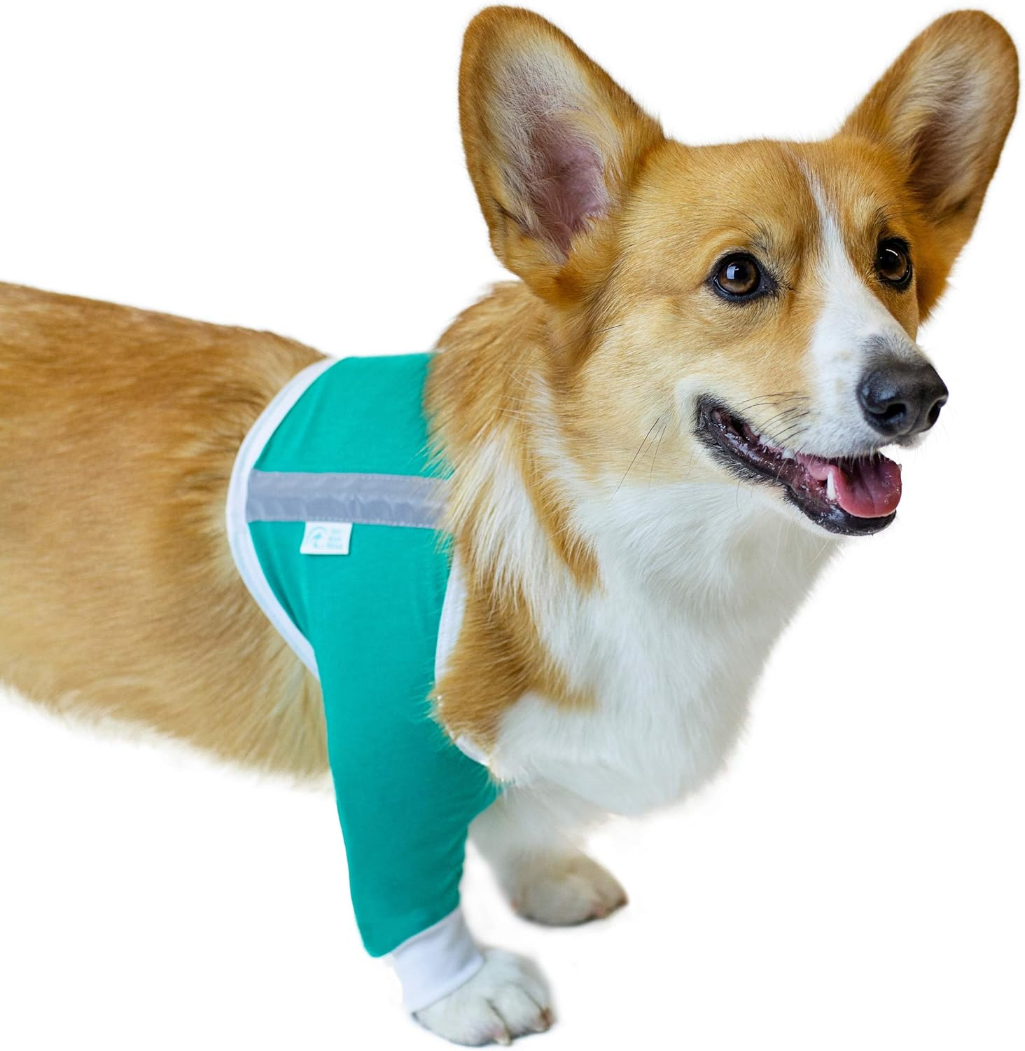 Shoulder Protective Sleeve for Dogs - E-Collar Alternative - after Surgery Wear - for Hot Spots, Wounds, Bandages, and Other Skin Conditions (XS - Short Sleeve, Teal Green) image number 1