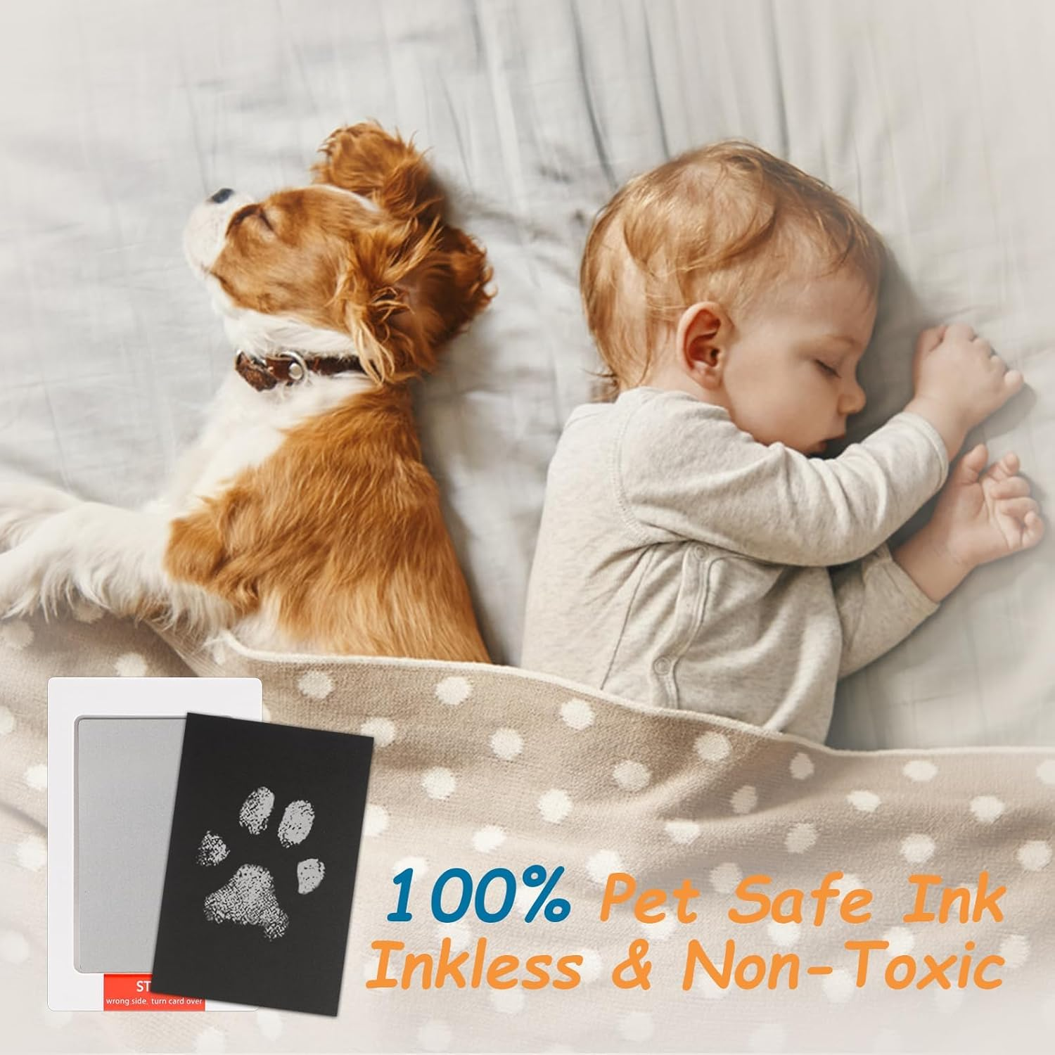 Inkless Pet Paw Print Kit,No-Mess Dog/Cat Nose & Paw Impression Set,Memorial Keepsake Cards, 2 Sizes, Quick-Dry & Vet-Safe (Silver, Small-Medium 1-Pack)