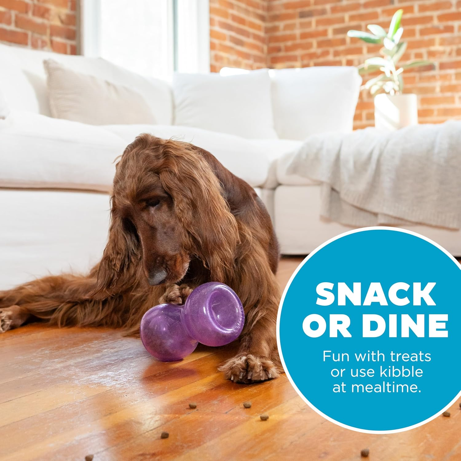 Outward Hound Double Snoop Interactive Treat Stuffer Durable Dog Toy, Dog Treat Toy, Purple image number 2