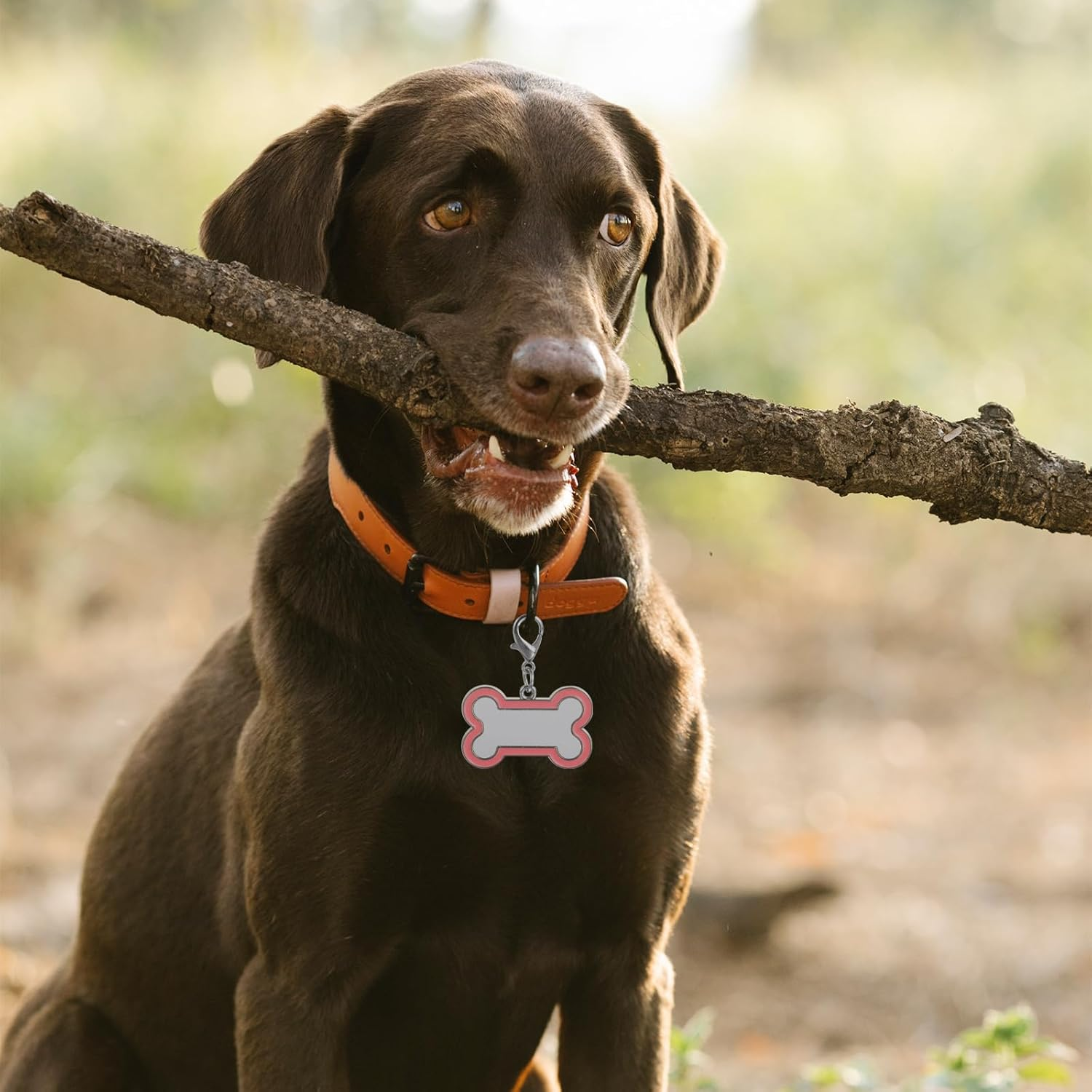 LUOZZY 4 Pcs Sublimation Blank Dog Tags Heat Transfer Puppy Kitten Tags Pendent Blank Craft Pet Tags Supplies - Pink