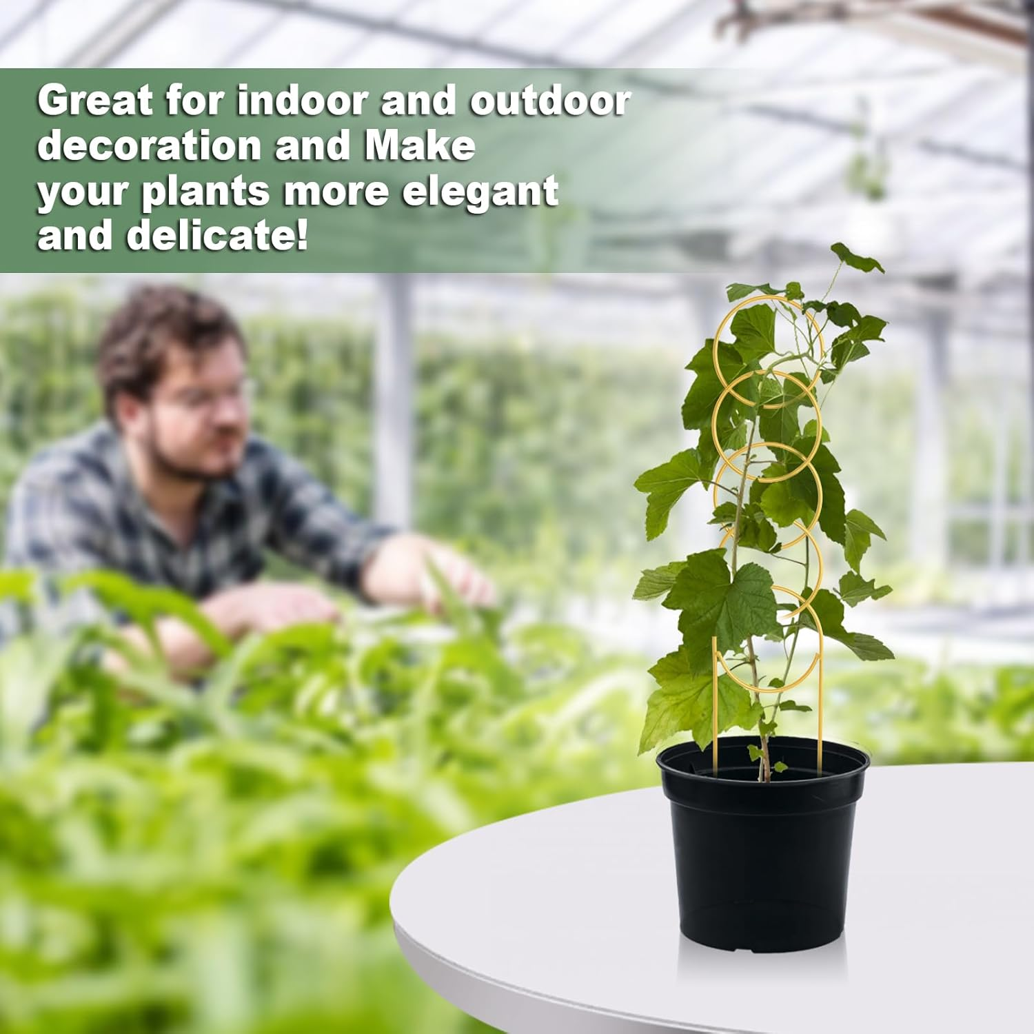 17.5 Inch Indoor Plant Trellis for Climbing Plants,Metal Trellis,Small Garden Trellis for Potted Plants,Plant Stakes for Indoor Plants Accessories Hoya,Flower,Plant Support (Golden-Metal) image number 1