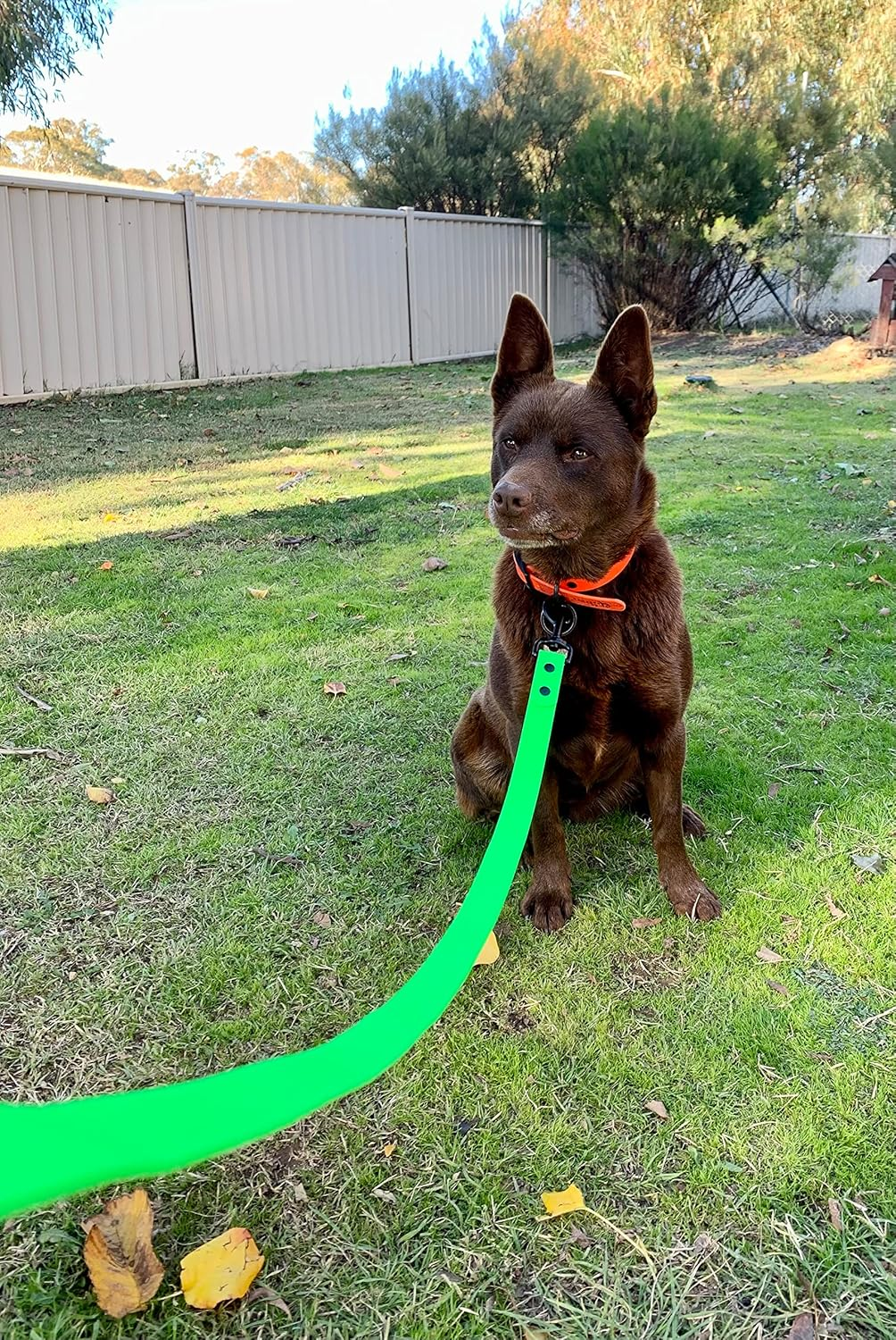 DROVERS Dog and Co Super Tuff Dog Lead - Stink Proof - Easy Clean - Extra Strong (Green)