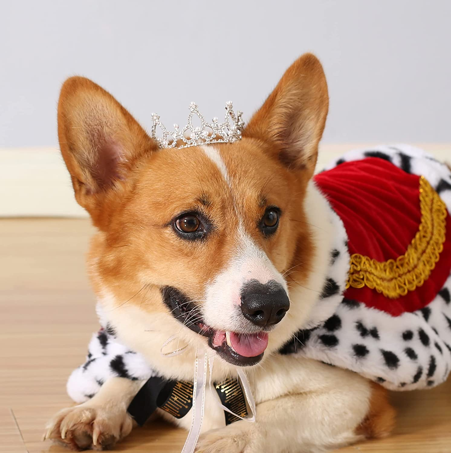 Lovelyshop Pet Series Gold Plated Royal Rhinestone Pearl Full round Dog/Cat Crown for Costume Hair Accessories-Xsmall Size