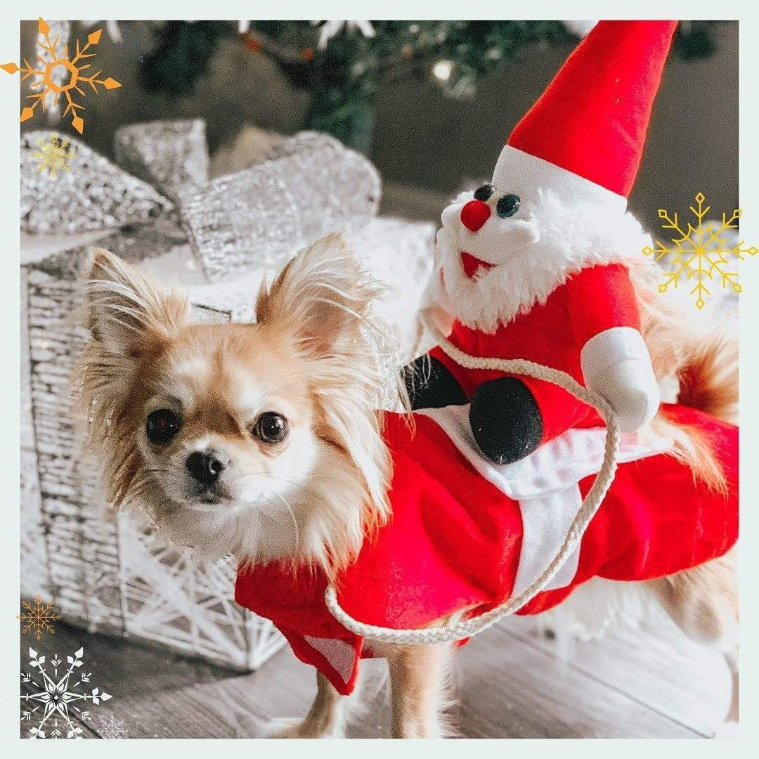 Santa Dog Costume, Christmas Claus Riding Pet Small, Christmas Santa Pet Costume Dog and Cat Funny Riding Suits Holiday Outfit Wears Xmas (L)