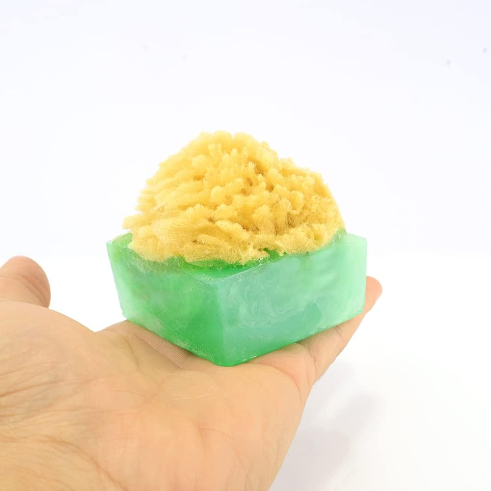 Primal Elements Honeycrisp Apple Spongebar Soap (Pack of 2) image number 2