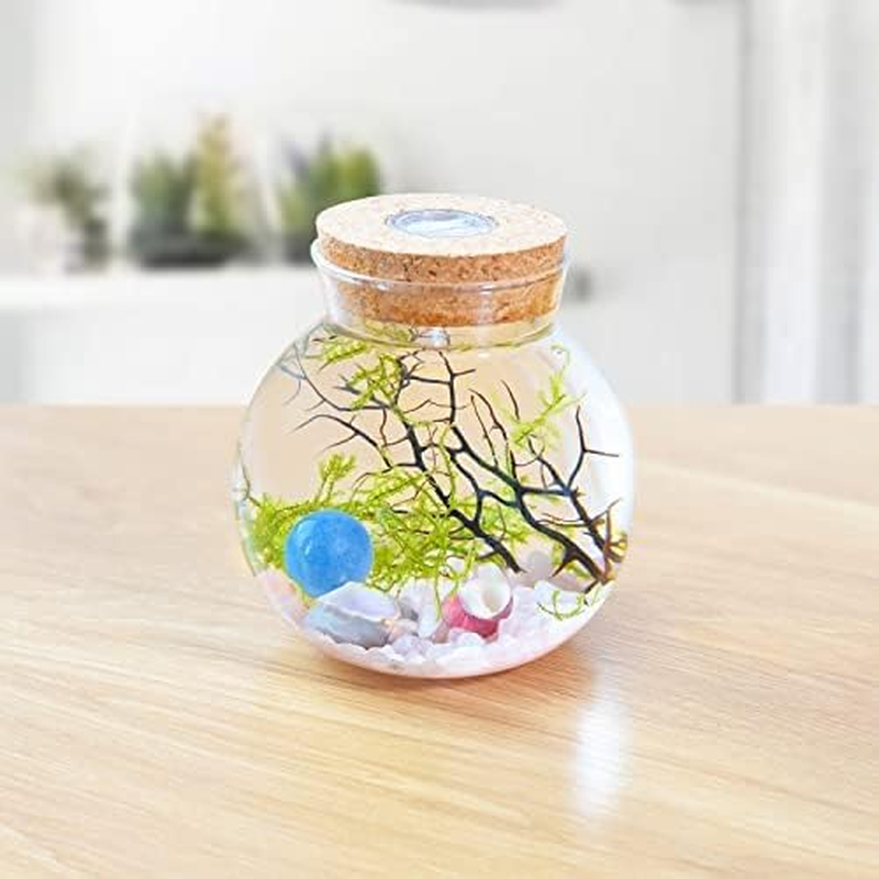 Mini Betta Fish Tank Fish Bowl Fish Tank Decor Flower Pot Hydroponic Plant Terrarium Aquarium Kit with LED Light, Crystal Stone, Java Moss (Style G)&hellip;