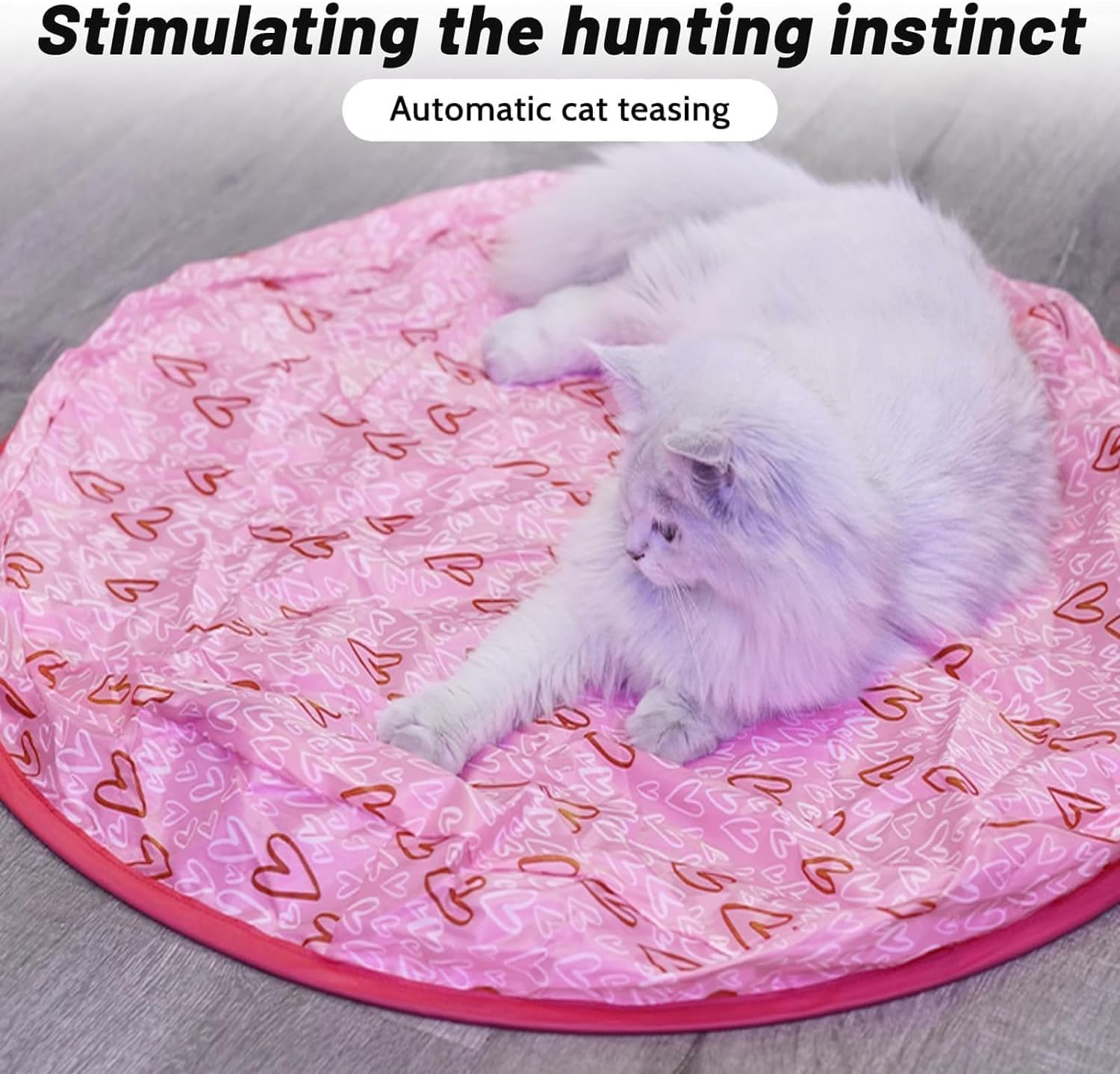 Shengruili Interactive Cat Toy Mat, Cat Play Mat, Cat Play Mat, Cat Toy Cat Mat, Hunting Cat Mat Toy, Interactive Training Mat for Stimulates Hunting Instinct