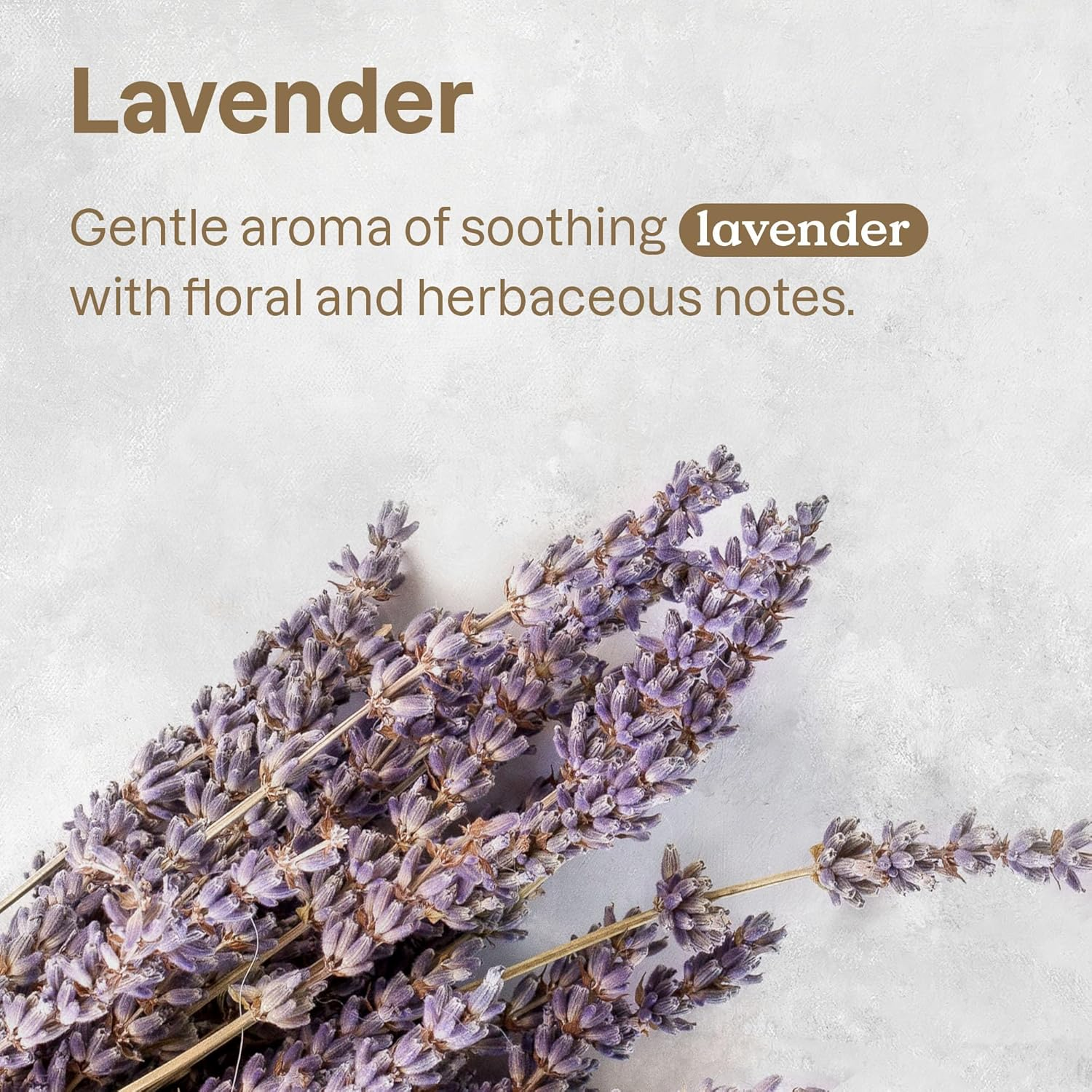 ATTITUDE Waterless Anti-Itching Detangling Spray, Plant and Mineral-Based Ingredients, Vegan and Cruelty-Free Grooming Products, Lavender, 8 Fl Oz image number 1