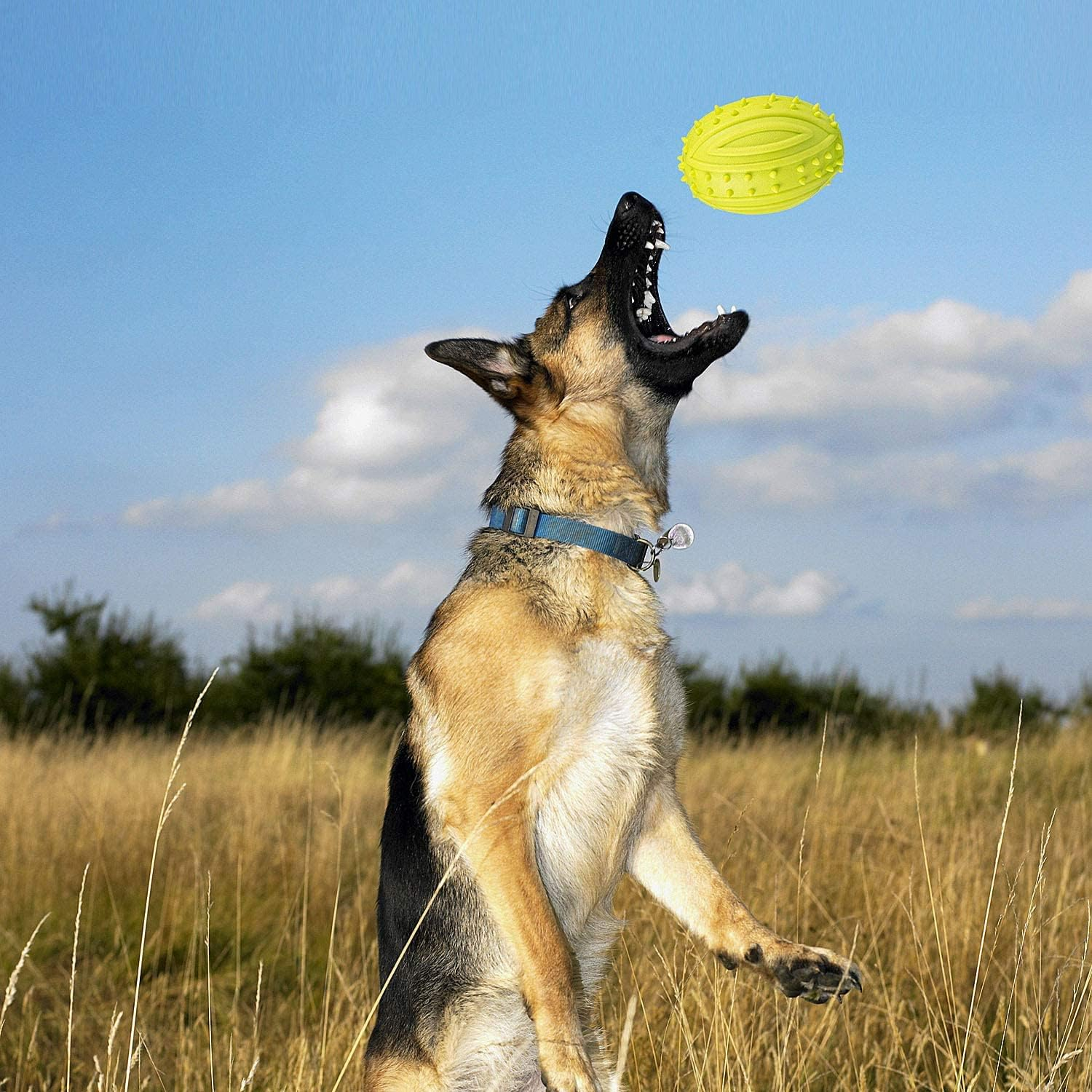 Comius Sharp Puppy Dog Teeth Toy, 5 Piece Teeth Cleaning Dog Chew Toy for Small, Medium Dog Breeds, Interactive Silicone Dental Care Dental Chew Toy for Training image number 2