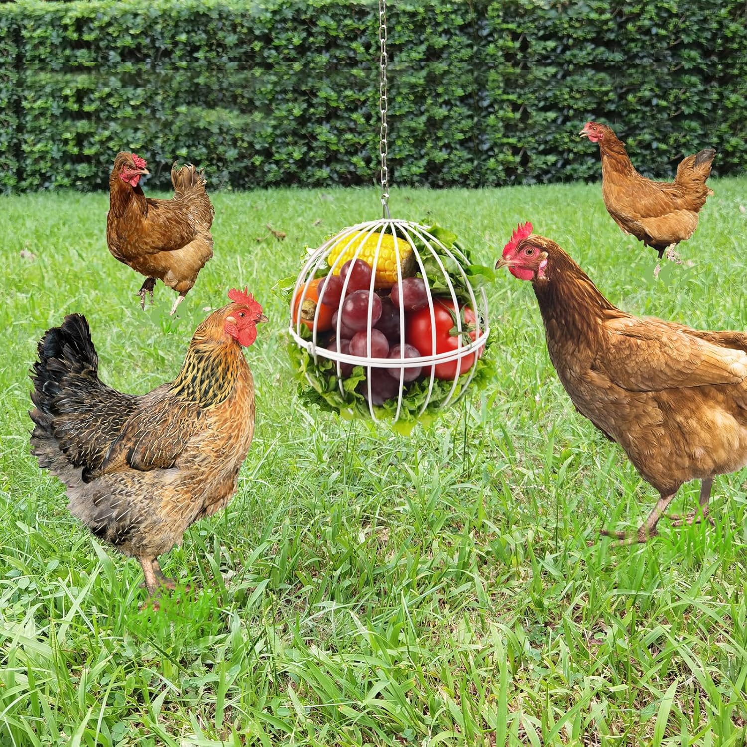 Hanging Chicken Feeder - 7.1 Inch Large Iron Chicken Veggie Treat Ball - Sturdy Chicken Treat Holder with 15.7 Inch Hanging Chain - White - 2Pcs Black image number 4