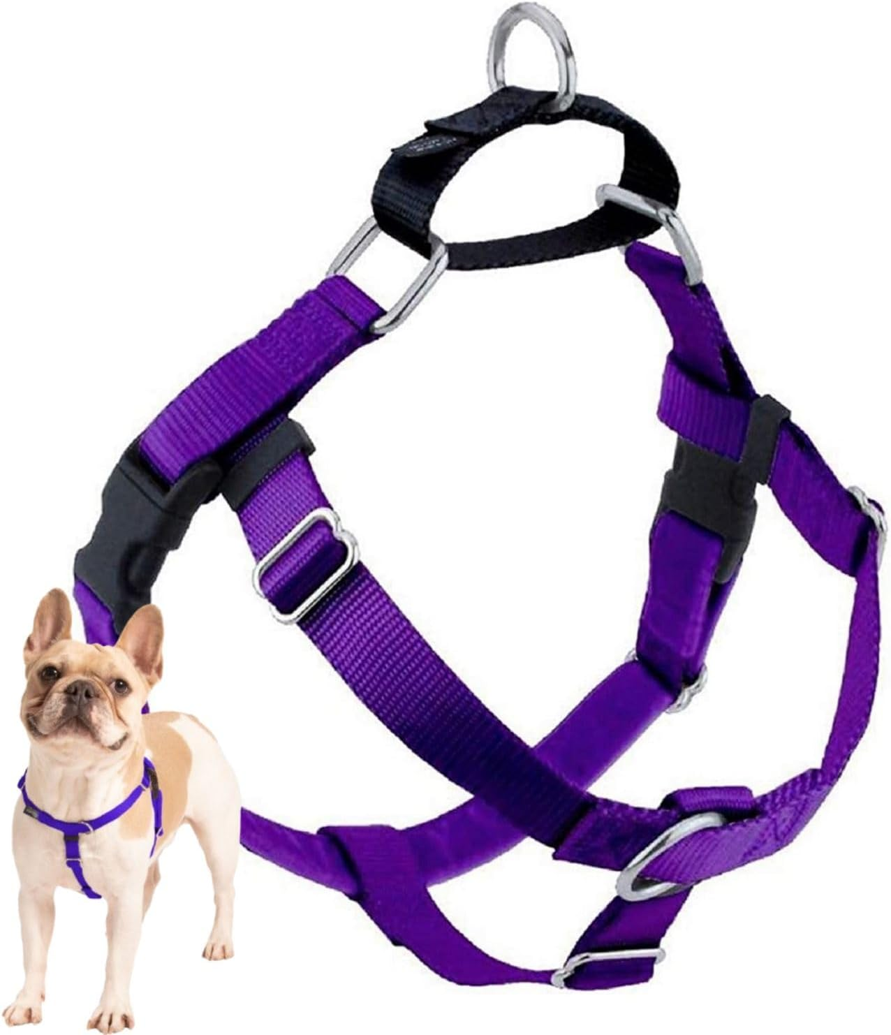 2 Hounds Design Freedom No Pull Dog Harness | Adjustable Gentle Comfortable Control for Easy Dog Walking | for Small Medium and Large Dogs | Made in USA | Leash Not Included | 1" MD Purple image number 5