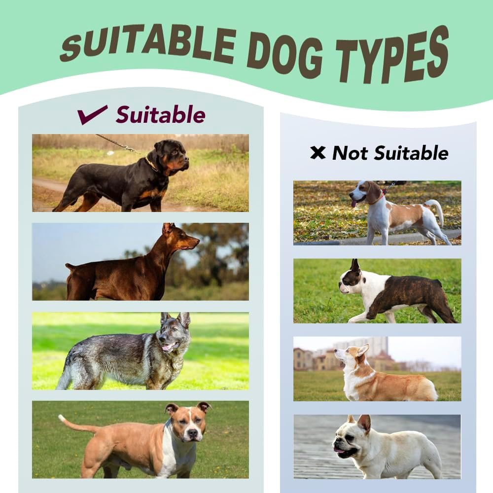 TSPRO Premium Heavy Duty Tactical Dog Harness for Medium/Large Dogs, No Pull, Adjustable, Padded Handle & Quick-Release Buckles, Ideal for Hiking, Walking, Running, Training (Black M) image number 6