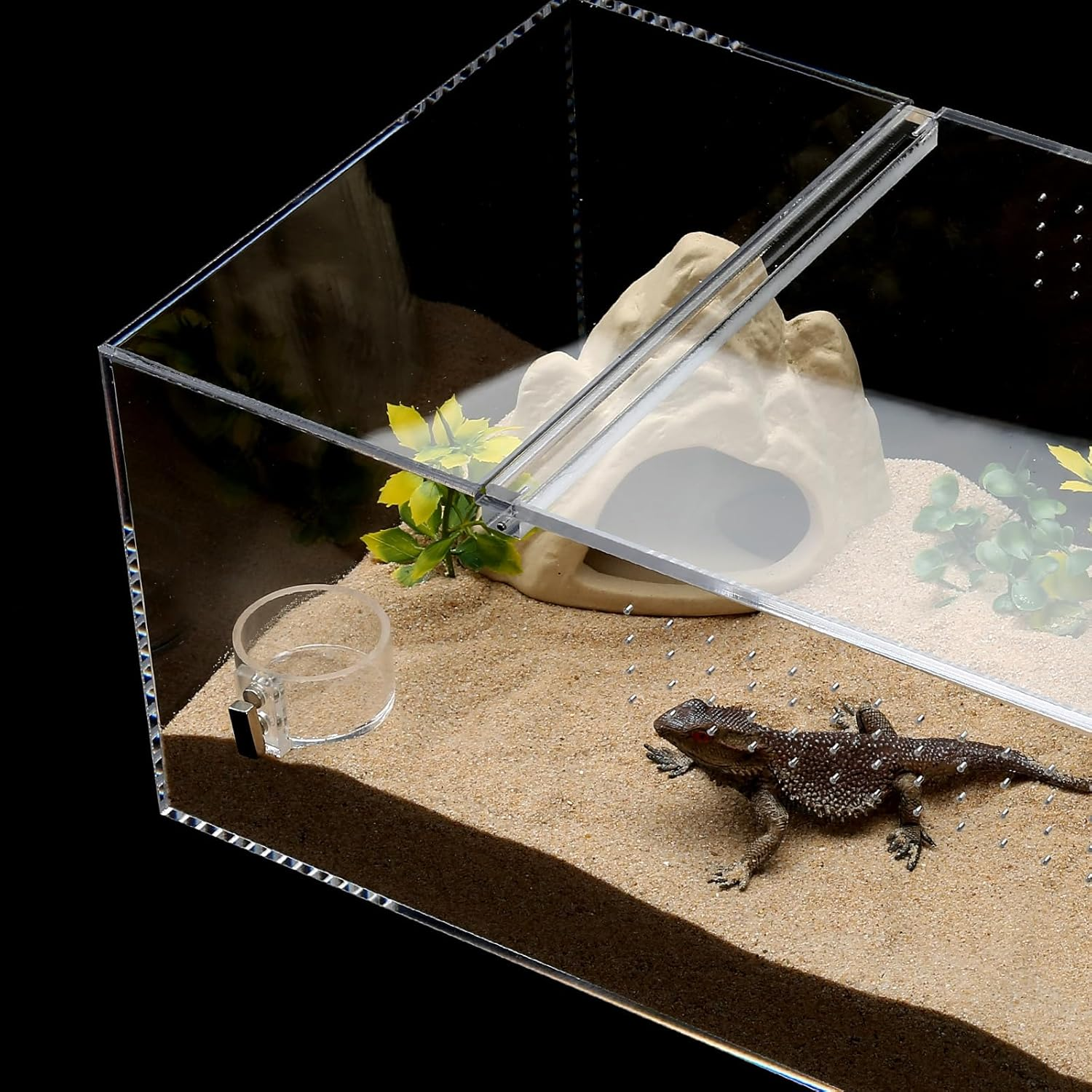 Tarantula Food Bowl Water Dish, Jumping Spider Feeding Dish, Enclosure Accessories, Feeder for Insect, Praying, Mantis Habitat, Butterfly, Bug image number 2