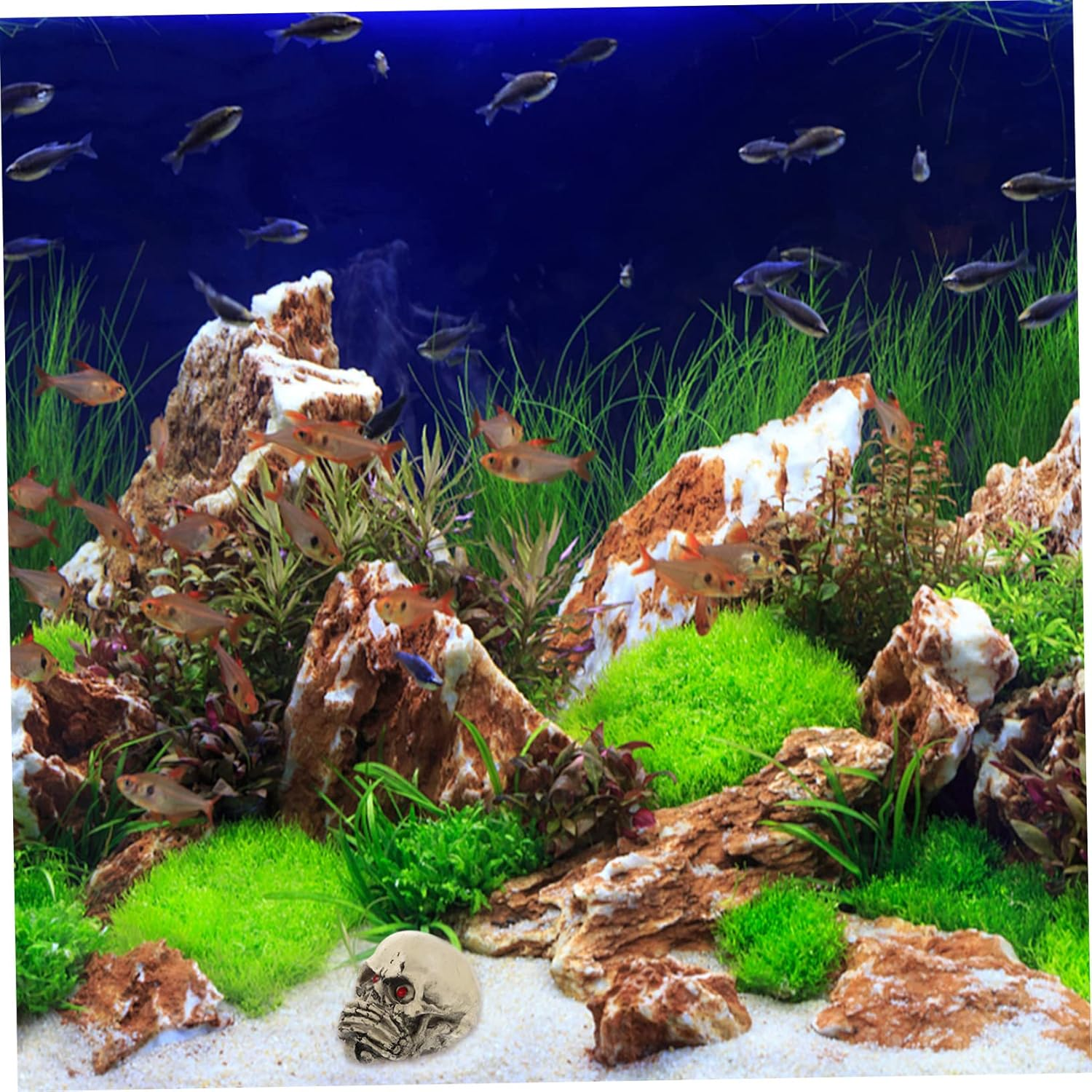 Happyyami 3Pcs Resin Skulls Aquarium Decorations for Fish Tanks and Crawling Pets Halloween Tabletop Ornaments Unique Haunted House Props for Party and Photo Pranks image number 4