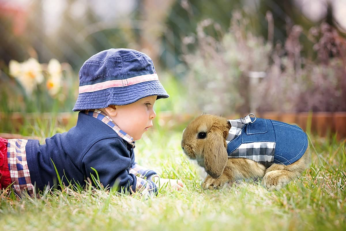 Vehomy Rabbit Harness and Leash Small Animal Clothes for Rabbit Guinea Pig, Bunny Plaid Harness Leash Guinea Pig Blue Denim Black and White Plaid Dress for Kitten Chihuahua and Other Small Animals L