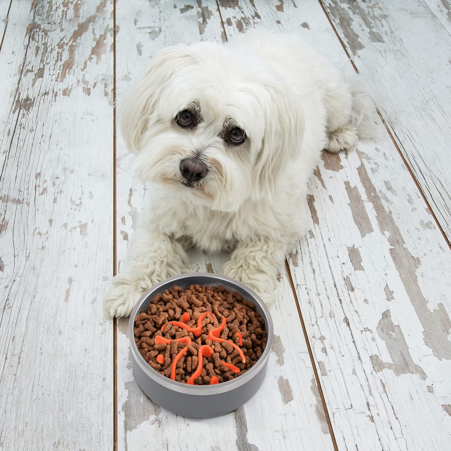 Jaoul Cat Slow Feeder Insert,Dog Bowls Small Slow Feeder,Puzzle Design with 21 Octopus Suction Cups for Small Breed Dog Bowls Cat Bowls 4" (Orange) image number 3