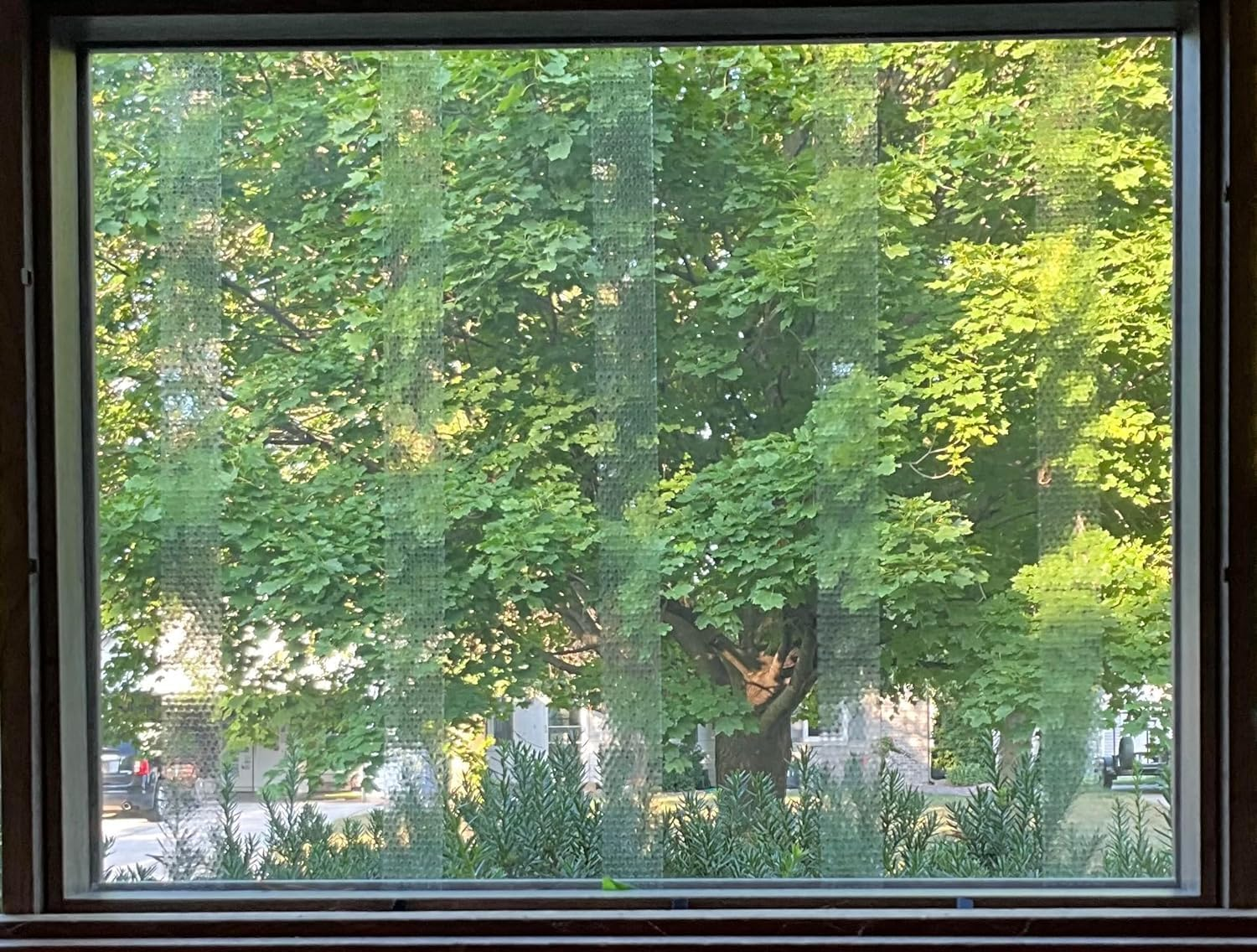 COLLIDESCAPE Spiderweb Clear Bird Tape for Windows (3/4" X 20' - Covers 1 to 2 Windows) | Bird Strike Prevention Decals image number 4