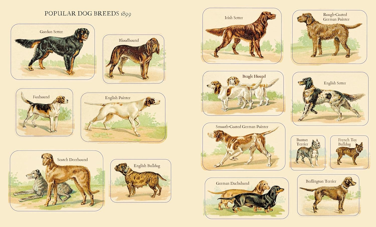 Cynthia Hart'S Victoriana Dogs: the Sticker Book: 340 Captivating Stickers