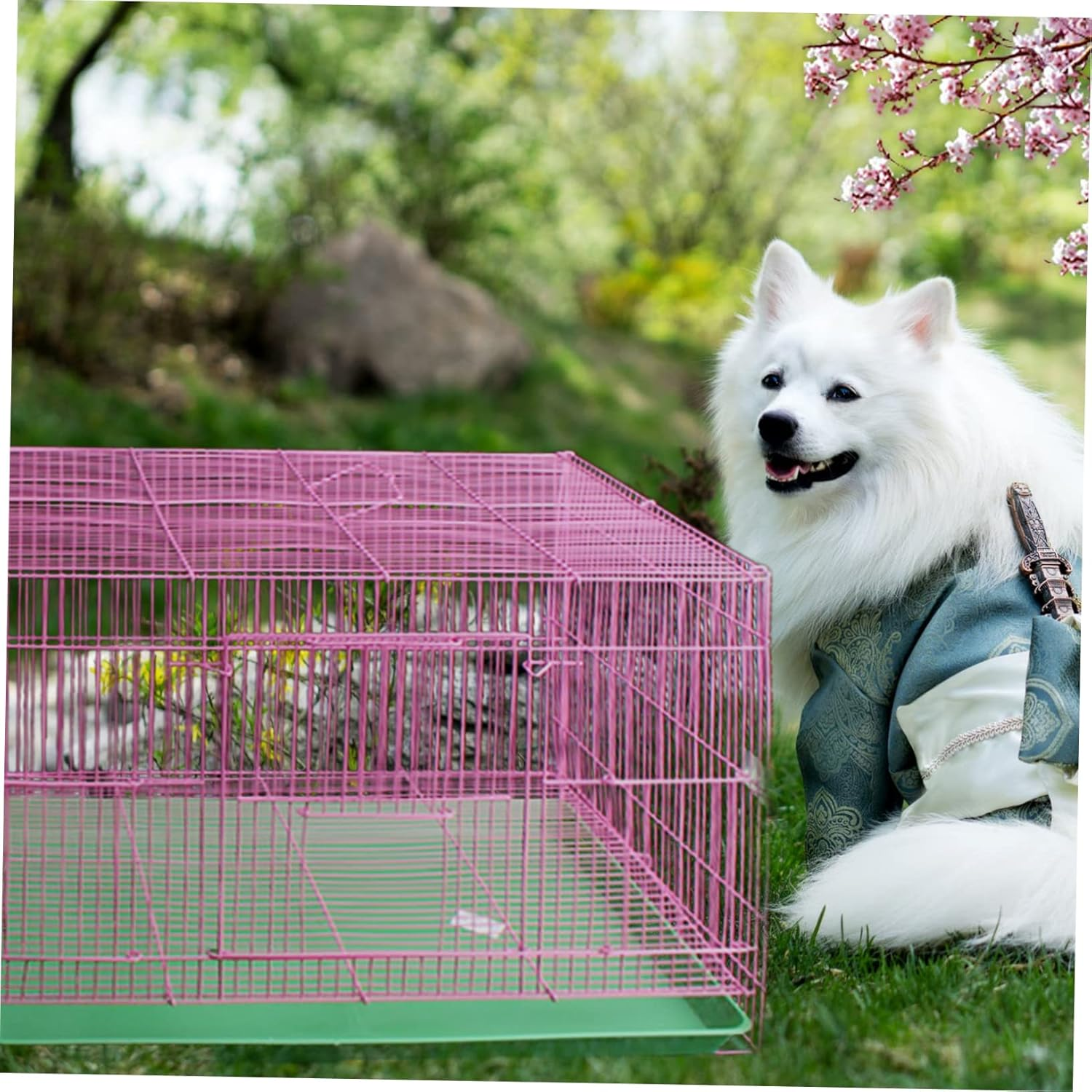 Hohopeti Pet Toilet Tray Plastic for Rabbits and Small Animals, Green Poop Pan for Rabbit Cage and Chick Coop, Household Little Animal Potty Supplies image number 1