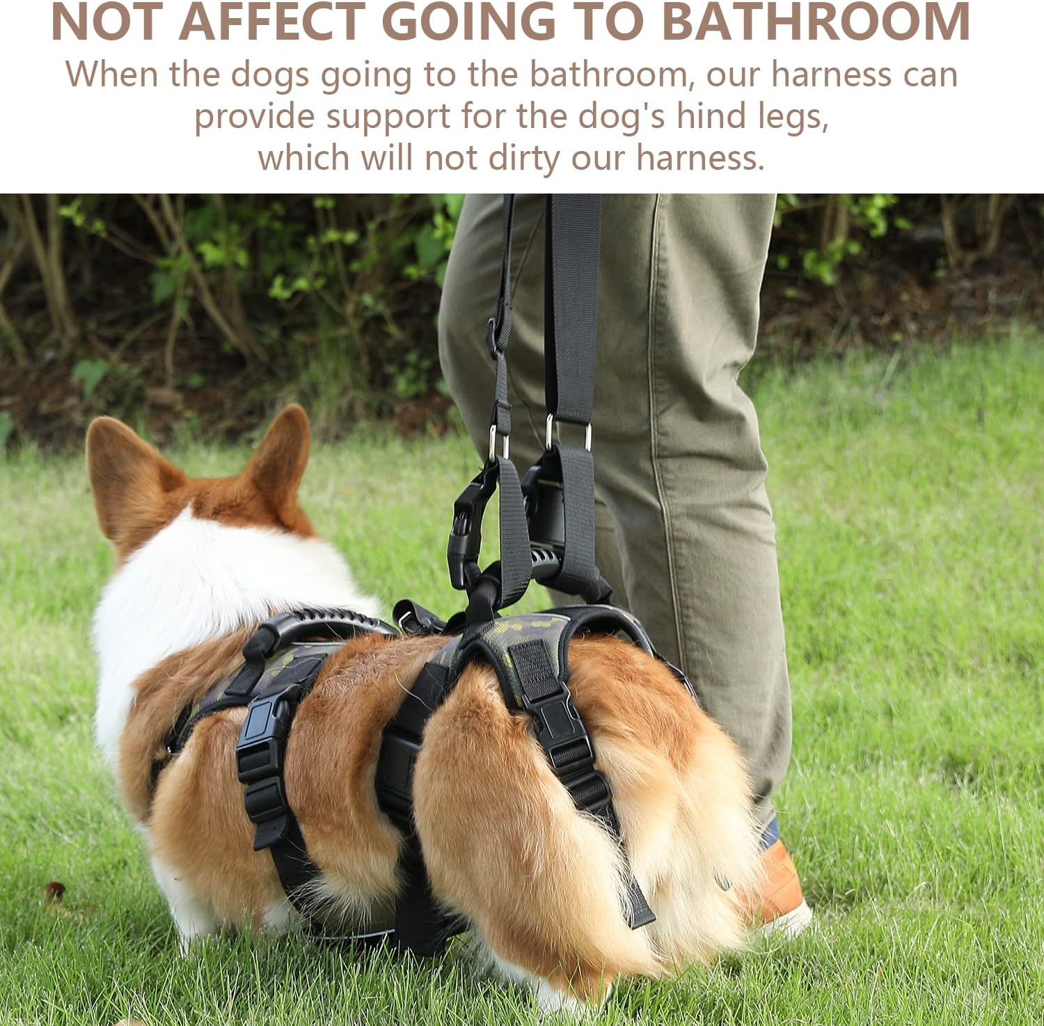 Coodeo Dog Lift Harness, Full Body Support & Recovery Sling, Pet Rear Leg Support Rehabilitation Lifts Vest, Dog Carrier for Senior Dogs with Joint Injuries, Arthritis, Paralysis up Stairs (Xxlarge) image number 6