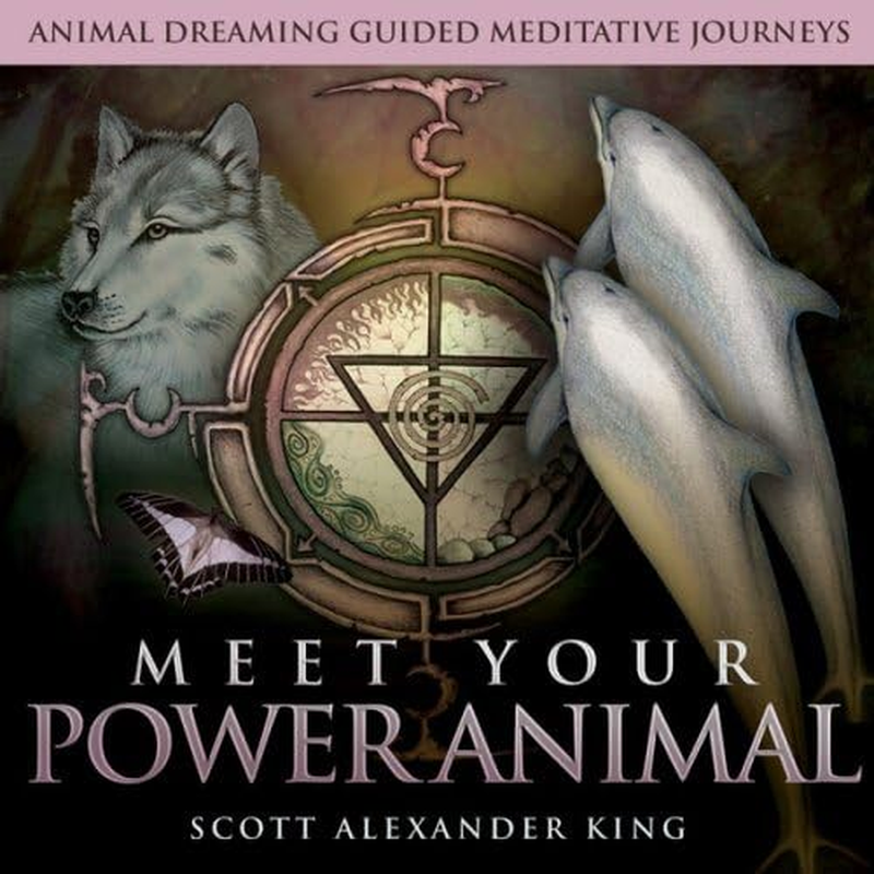 Meet Your Power Animal