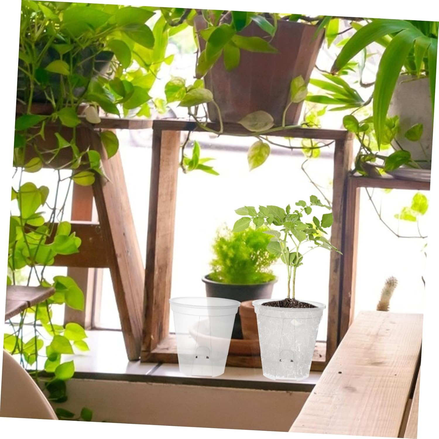 Outanaya 6Pcs Clear Pots with Holes for Indoor Plants Self-Drainage Transparent Planter for Healthy Growth and Ample Water Supply for Greenhouse and Home Gardening image number 2
