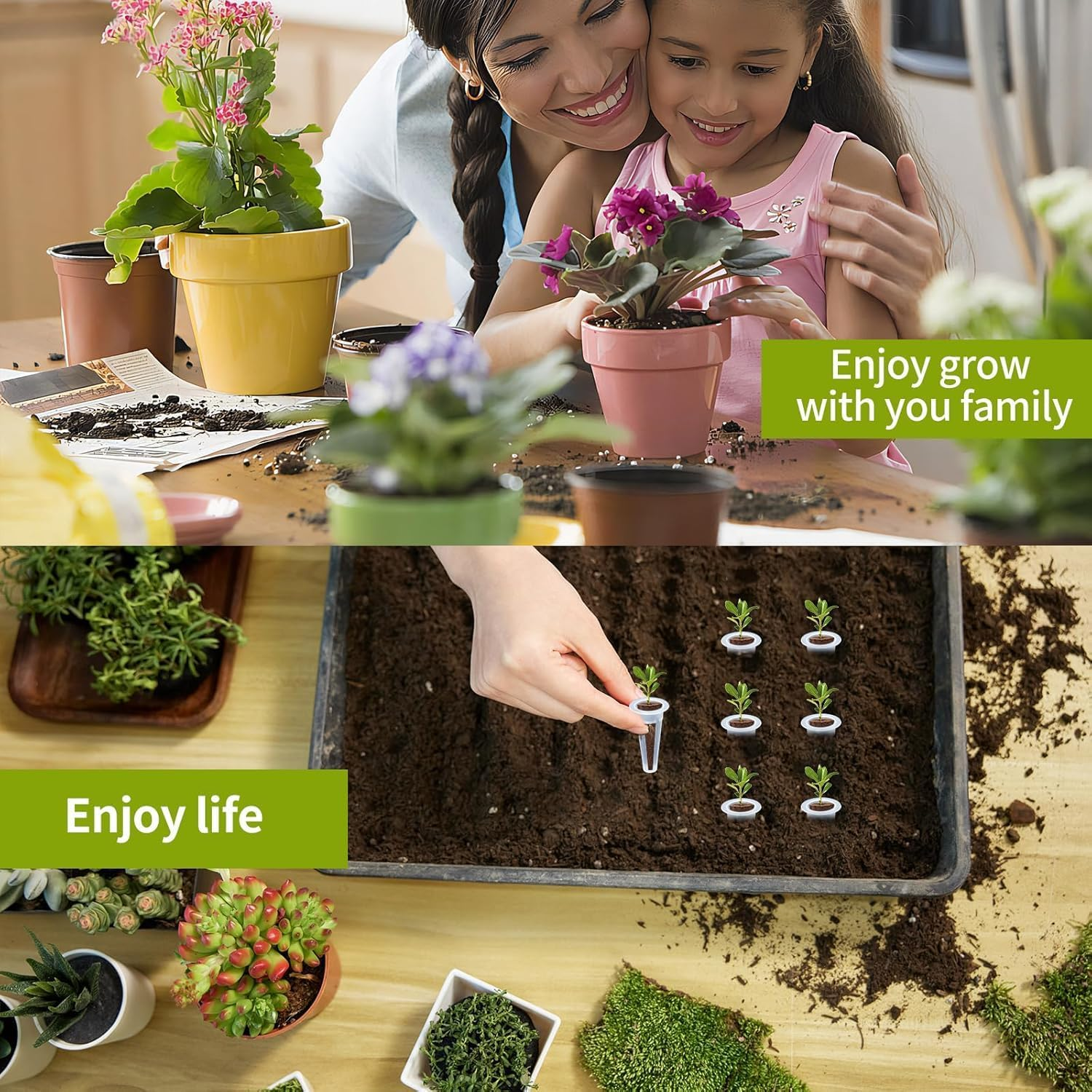 161Pcs Hydroponic Seed Pods Kit - Reusable Plant Grow Sponges for Seed Starter, Root Growth | Compatible with Hydroponic Growing Systems | Garden Accessories & Replacement Sponges (Multicolor) image number 4