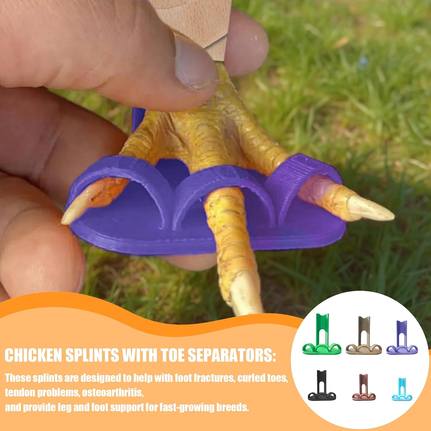 6 Sizes Chicken Leg Splint for Chickens at Different Stages of Growth Chicken Splint for Chicken Foot Fractures, Curled Toes, Osteoarthritis and the Treatment of Plantar Warts.