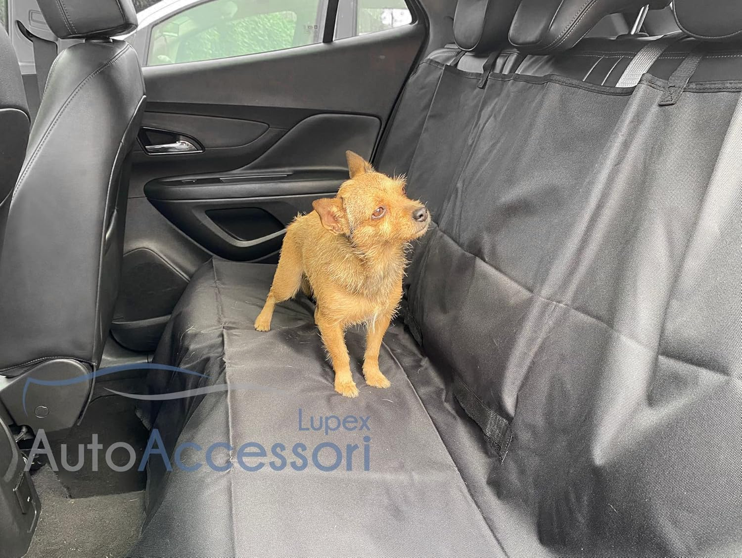 Auto Accessori Lupex Universal Car Cover for Dog and Cat 2-In-1 | 137 X 125 Cm | Car and SUV | Hammock Protection for Seats and Boot | Oxford Black | Waterproof Scratch-Resistant image number 4