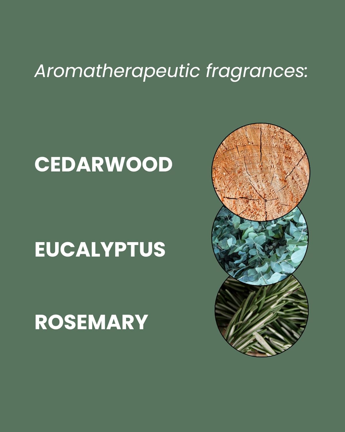 Mancave Shower Gel Men for Sensitive Skin - Aloe and Pine 500 Ml - Sulphate Free and Natural, Vegan, Cruelty Free, Recycled Packaging, Sensitive Shower Gel Men image number 5