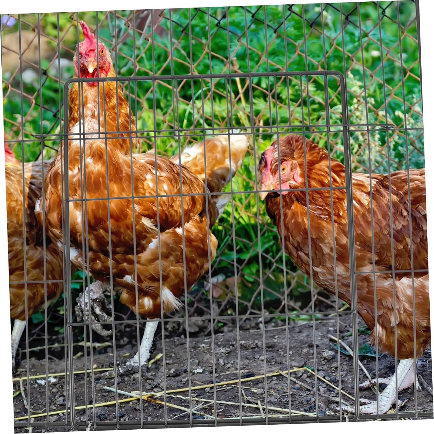 Kisangel DIY Cat Cage Door Wire Mesh Pet Fence Panel for Rabbit Dog Kennel Easy Assembly Pet Accessories image number 3