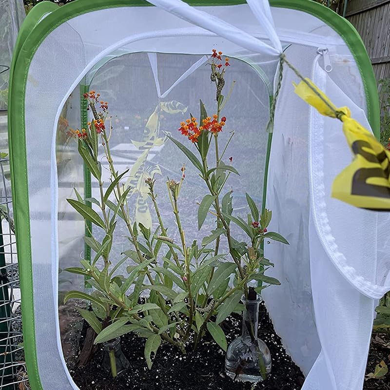 Insect and Butterfly Habitat Cage &ndash; Foldable Mesh Butterfly Cage with Clear View 6 Panels, Durable Breeding Habitat for Kids Garden Science Education, 40X40X60Cm (40X40X60Cm) image number 3