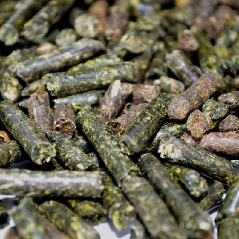 Bonsai Shop Premium Fertiliser 500G Bag. Make Repotting Easy. Australian Supply