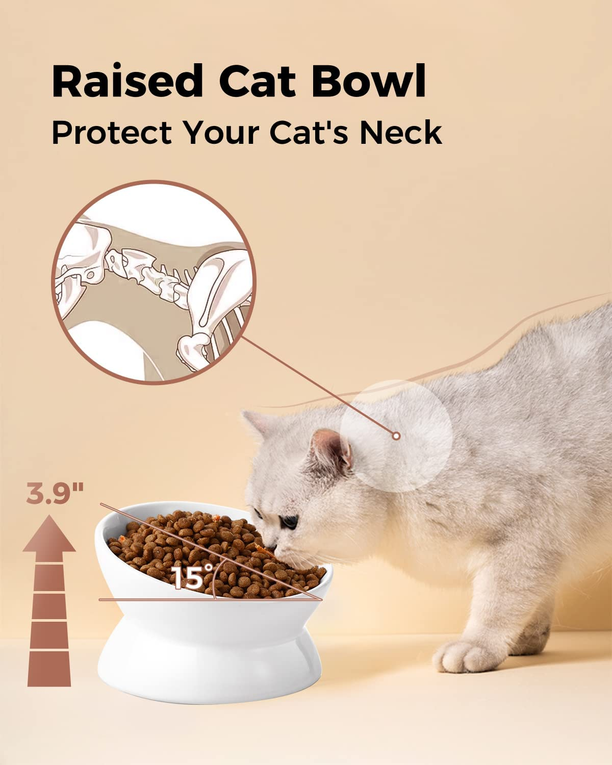 Loejan Elevated Cat Food Bowl, 5 Oz Ceramic Raised and Tilted Pet Water Bowl, anti Vomiting and Protect Pets' Spines Cat Dishes for Small Dog, Fat Faced Cat, Kitten (White, 5 OZ) image number 3